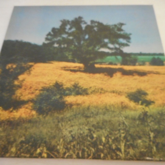 NIB Vtg Embroidered Floral Lacey Ladies Hankies - Picture 2 of 7